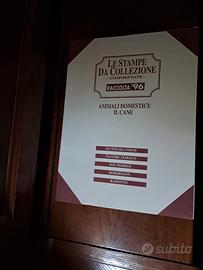 Le Stampe Da Collezione Animali Domestici: Il Cane