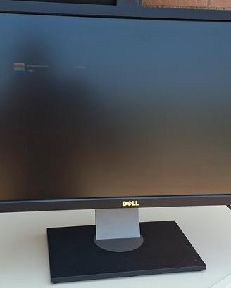 Monitor DELL