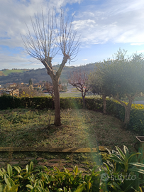 Piccole corti da coltivare