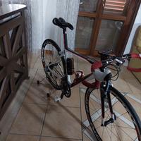 Scapin