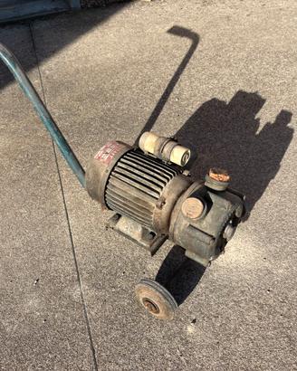 Pompa Travaso Autoadescante Vino Botti