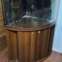 Acquario per pesci 