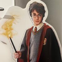 Cartonato  limited edition di Harry Potter