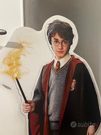 Cartonato  limited edition di Harry Potter