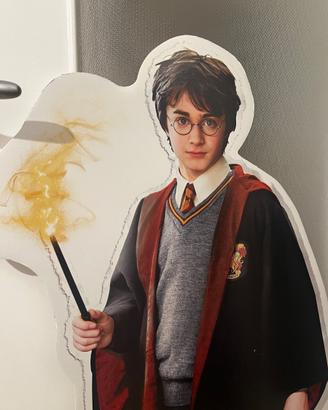 Cartonato  limited edition di Harry Potter