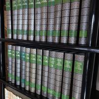 Enciclopedia Peruzzo Larousse