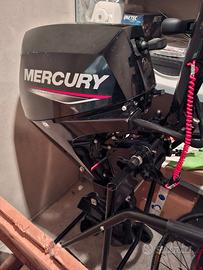 Mercury 15CV 4 Tempi