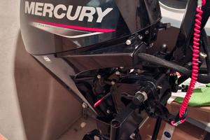 Mercury 15CV 4 Tempi