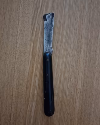 Coltello per funghi 
