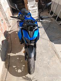 honda hornet