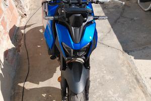 honda hornet