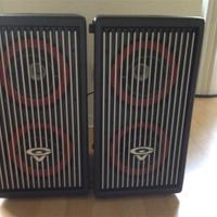 Casse satelliti Cerwin Vega CVA28