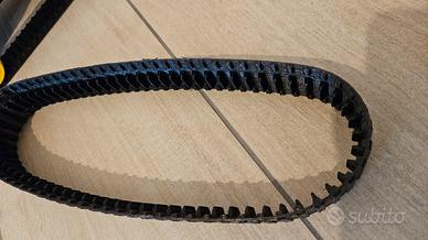 cingoli nikko sonic animal 