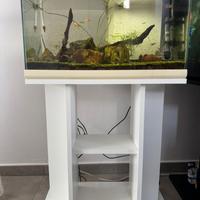 Acquario 60 litri