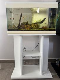 Acquario 60 litri