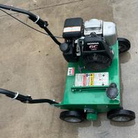 Arieggiatore Billy Goat