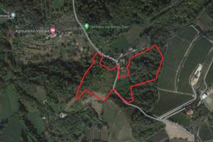 CAPPELLA MAGGIORE - TERRENO AGRICOLO DI 40.000 MQ