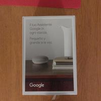 Google Nest Mini