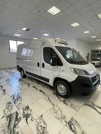 Fiat Ducato FRIGO FNAX