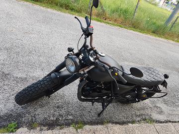 Mutt Fat Sabbat 250 Scrambler 