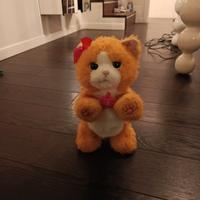 gatto interattivo 