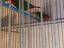 Immagine 2