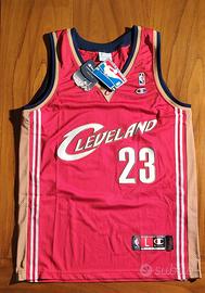 NBA • Lebron James stagione 2009-10 (maglia "Authe