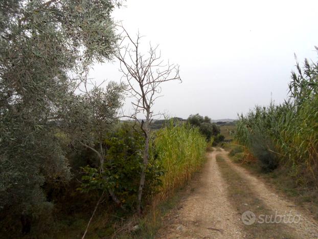 Terreno Agricolo - Monteprandone