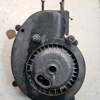 carter piaggio vergini numerati