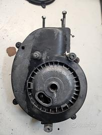 carter piaggio vergini numerati