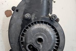 carter piaggio vergini numerati