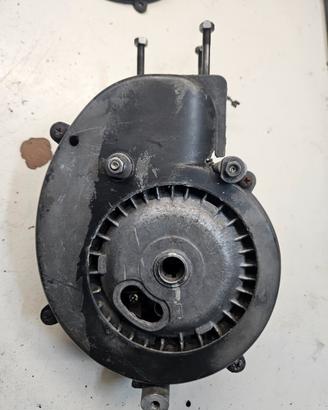 carter piaggio vergini numerati