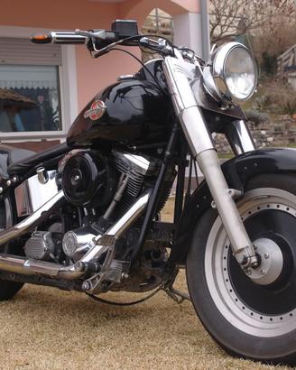 Fat Boy Harley Davidson
