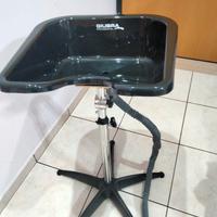 lavatesta professionale 