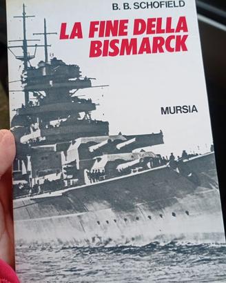 La fine della Bismark
