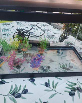 Acquario 17 lt