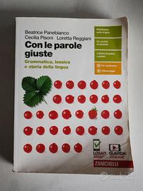Libri scolastici 