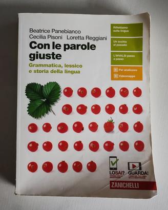 Libri scolastici 