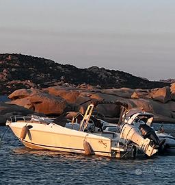 Barracuda 25 cabin Suzuki 250CV