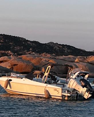 Barracuda 25 cabin Suzuki 250CV