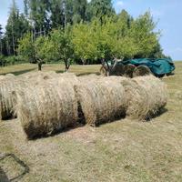 Fieno primo taglio 
