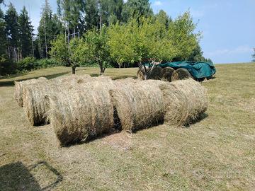 Fieno primo taglio 