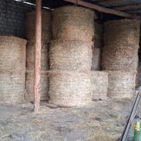 Rotoli di erba medica