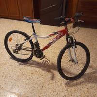 bicicletta