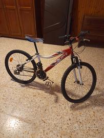 bicicletta