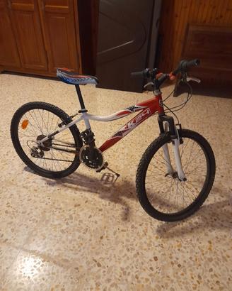 bicicletta