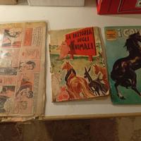 fumetti + album figurine