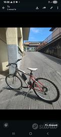 BICI raggio 24
