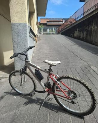 BICI raggio 24