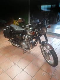Kawasaki W 800 - 2014
